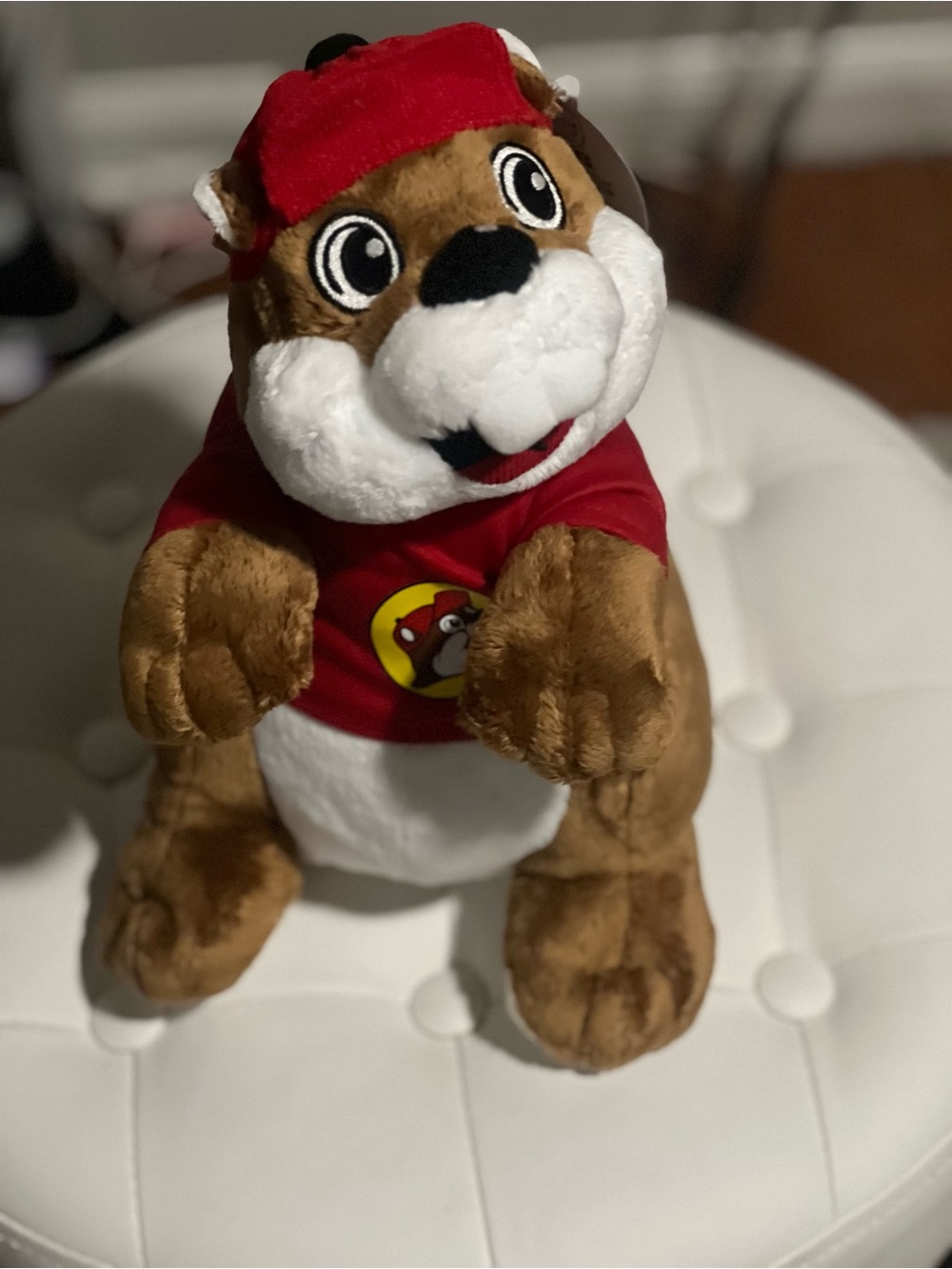 Famous Buc-ee’s Plush Dog Toy in Brown and Red - Branded Tee & Hat